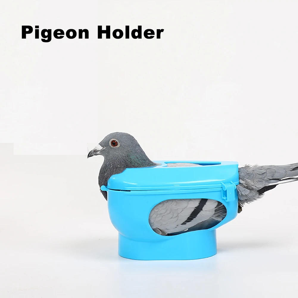 Pigeon Holder Plastic Pigeons Holder Bird Fixed Frame Rack Feeding Syringe For Birds Pigeon Parrot Chick Injection Feeding