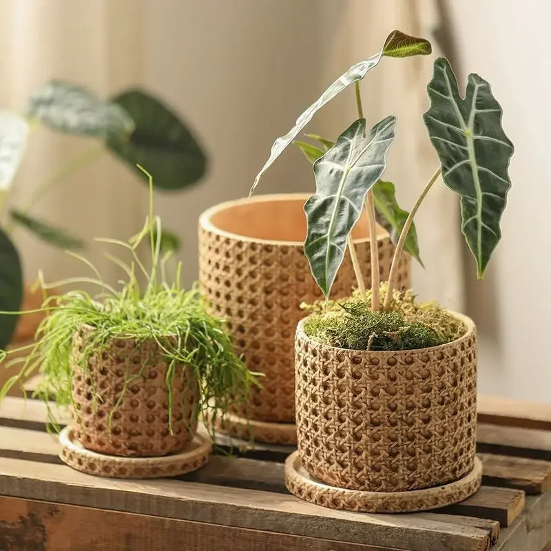 Flowerware Balcony Decoration Vintage Imitation Woven Lattice Plant Pot Cement Small Flowerpot with Tray Living Room Multi Meat