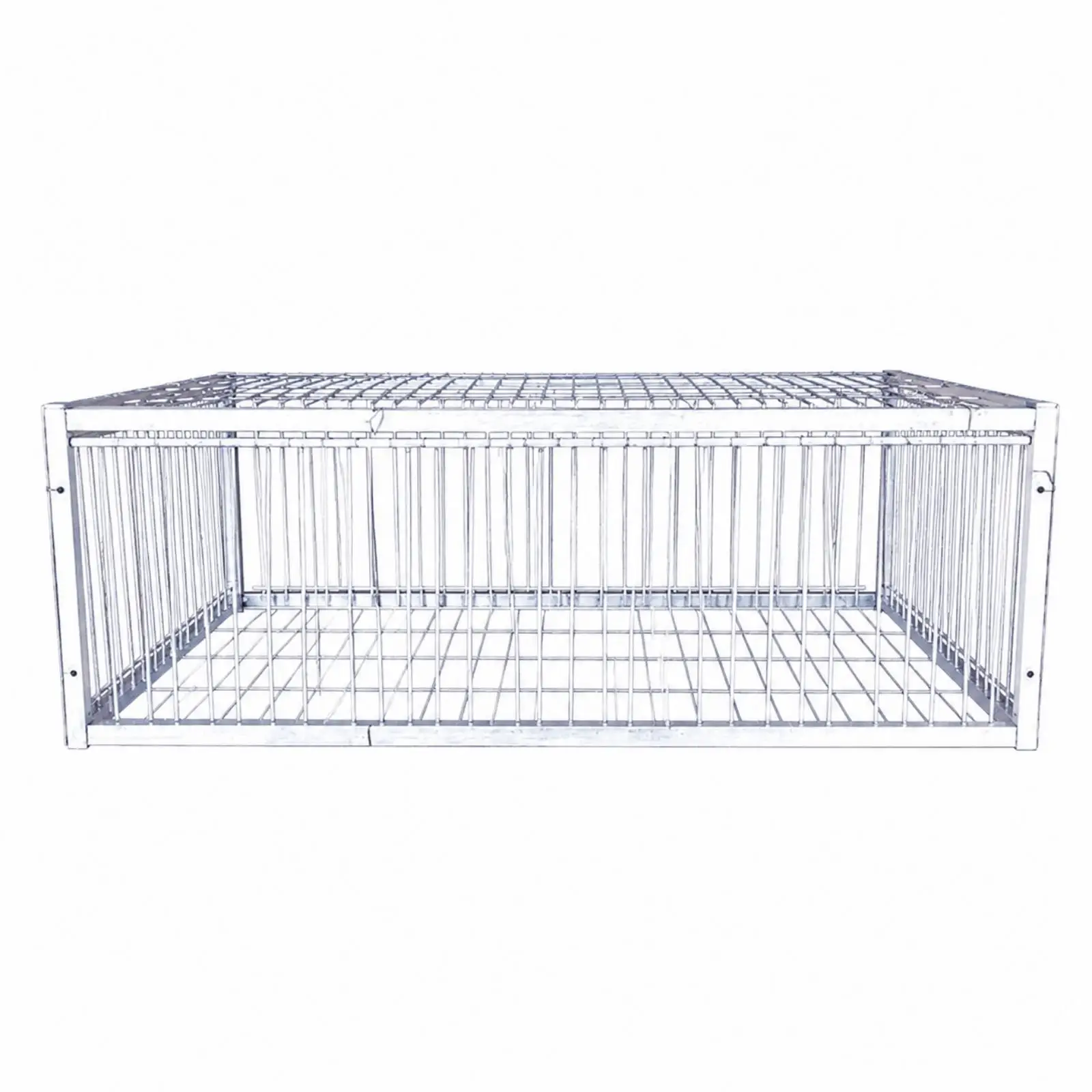 Rectangular Iron Pigeon Cage Corrosion-Resistant Pigeon Cage with Skylight No Assembly Required Outdoor for Training Areas