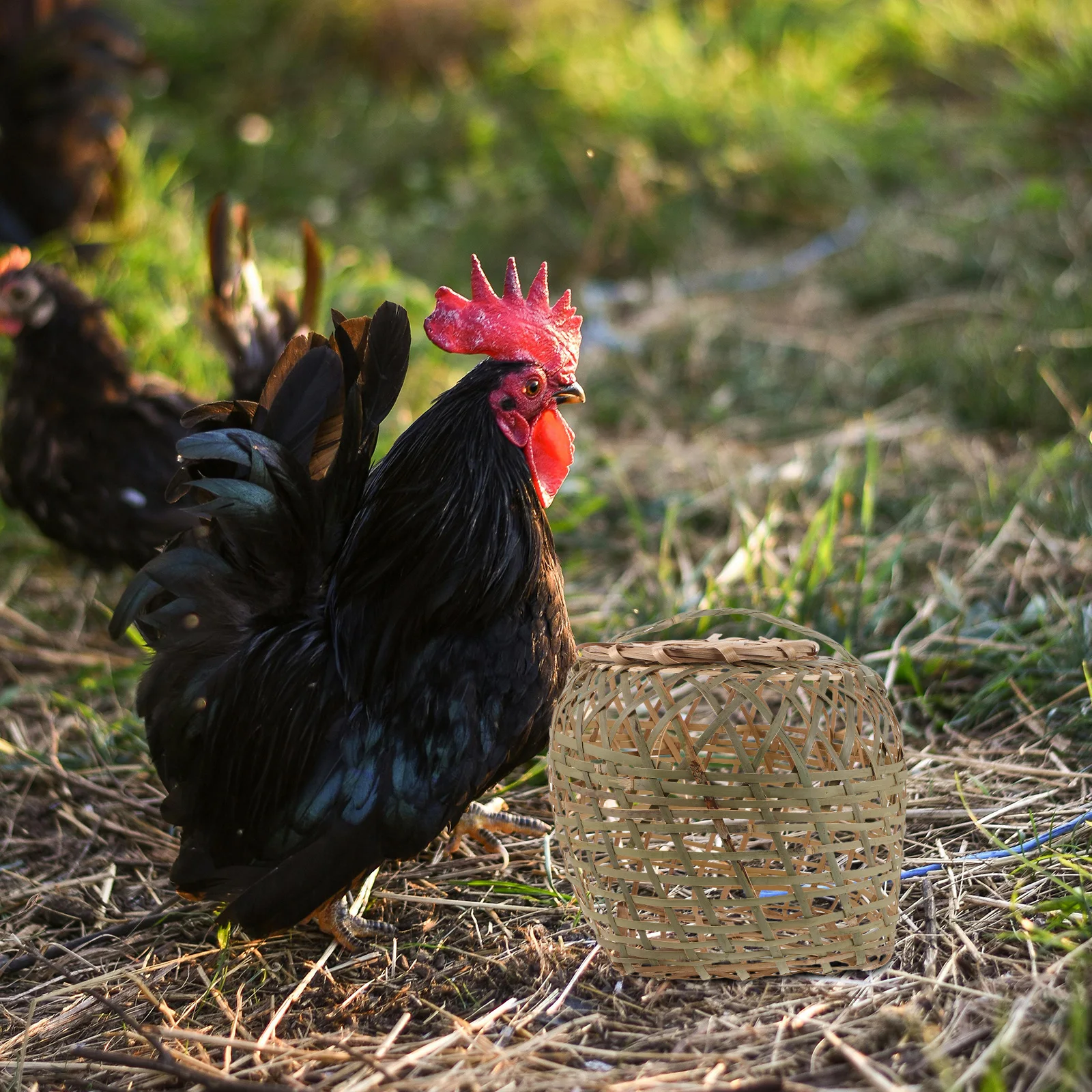 

Bamboo Chicken Coop Portable Chicken Cage With Handle Bamboo Weaving Poultry Carrier Small Chick Coop For Home Farm Handmade
