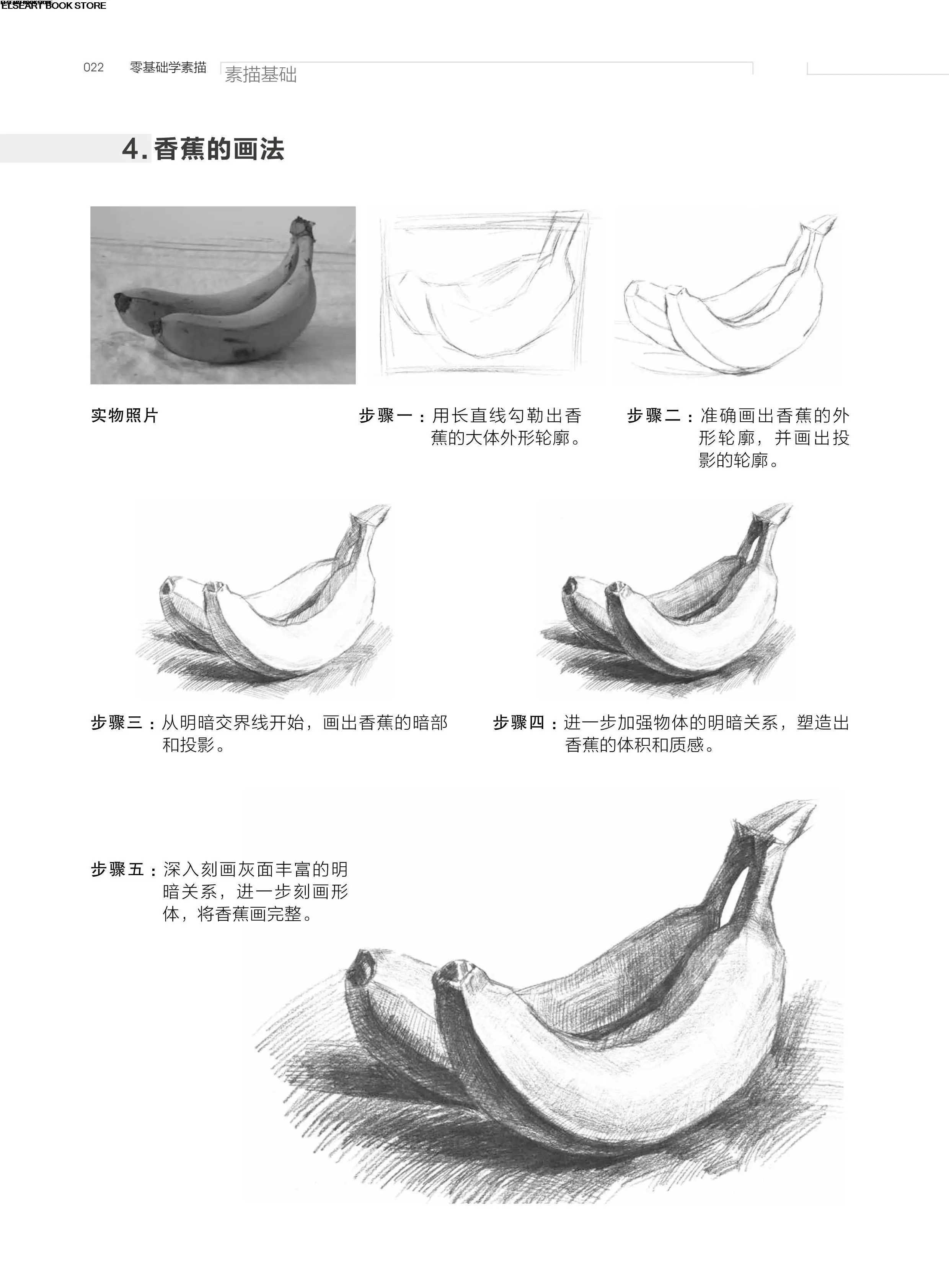 Zero basic science sketch basic  illustration course watercolor painting cartoon course calligraphy hand drawing book