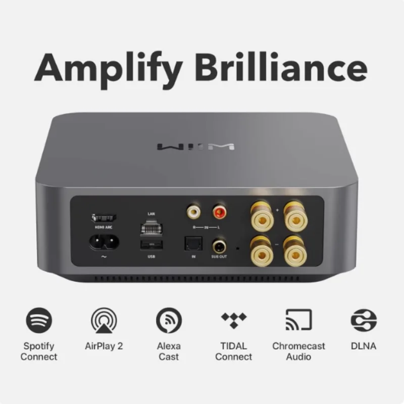 Wiim Amp Pro All-in-One Streaming Media Digital Decoder And Power Amplifier HiFi Lossless Audiophile Player