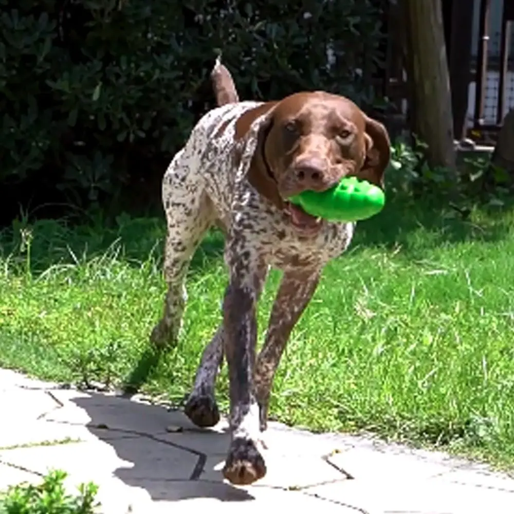 

Resist Scratching Bite-resistant Dog Chew Interactive Wear-resistant Pet Sound Making TPR Pet Training Gift