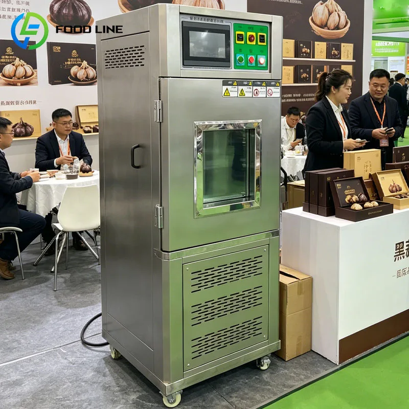 Black Garlic Fermentation Machine Industrial Fermenter Cabinet Temperature Control Aging System Customized