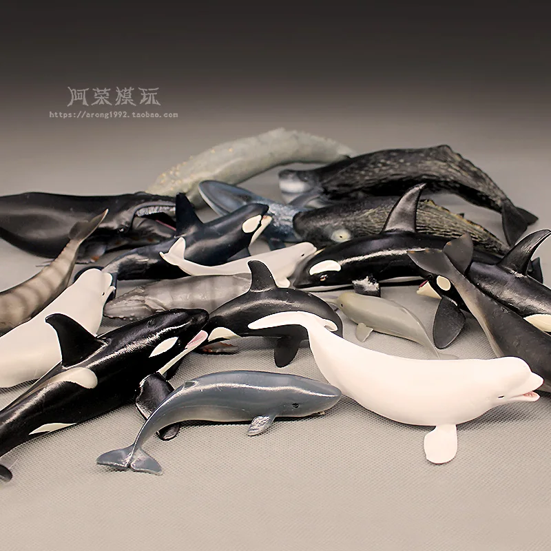 محاكاة المعرفية نماذج شخصيات الحيوانات البحرية الحوت الأزرق الحوت الأبيض الحوت الأحدب الحوت مصغرة زخرفة الملحقات #2