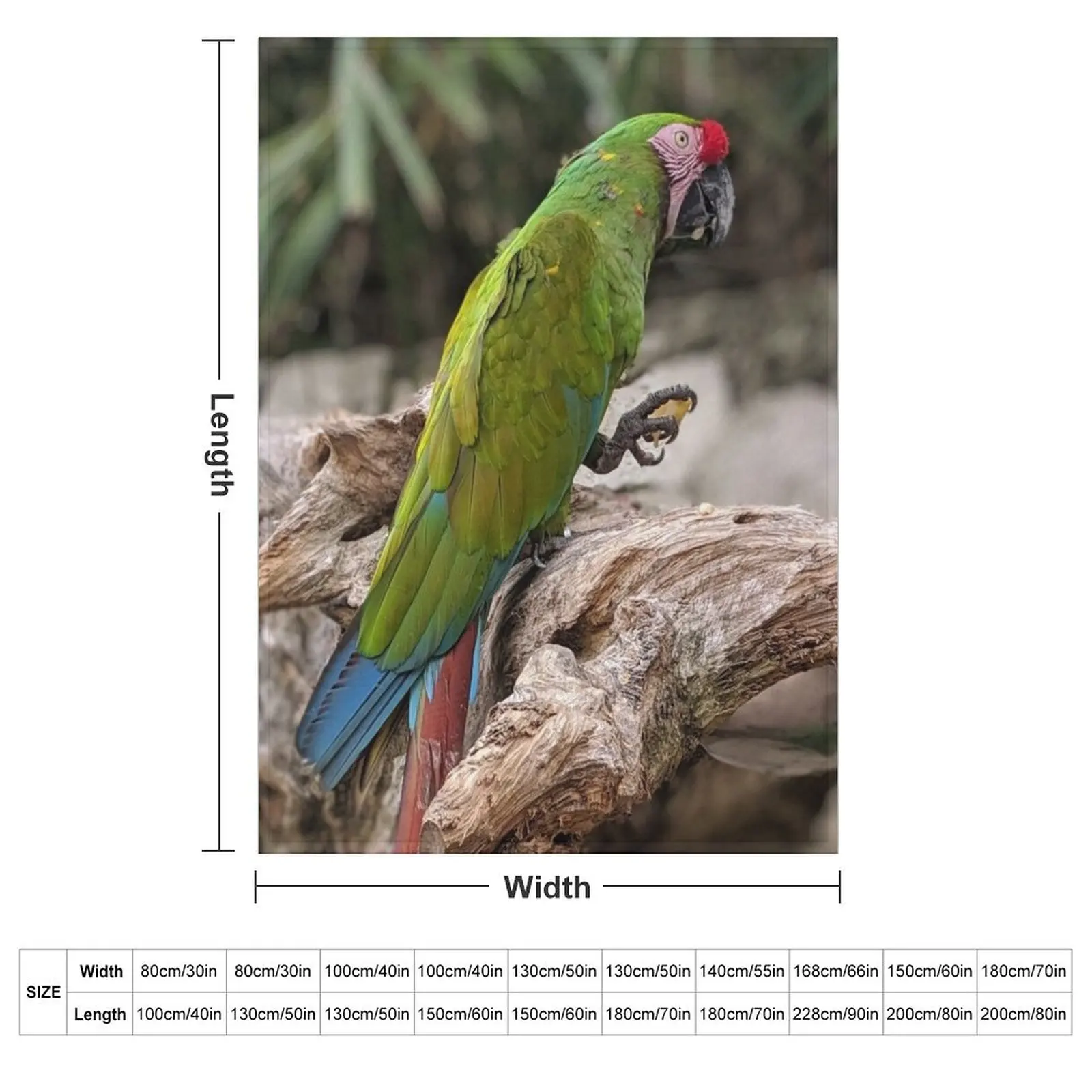 Great Green Macaw Throw Blanket Soft Plush Plaid For Decorative Sofa Camping Soft Plaid Blankets