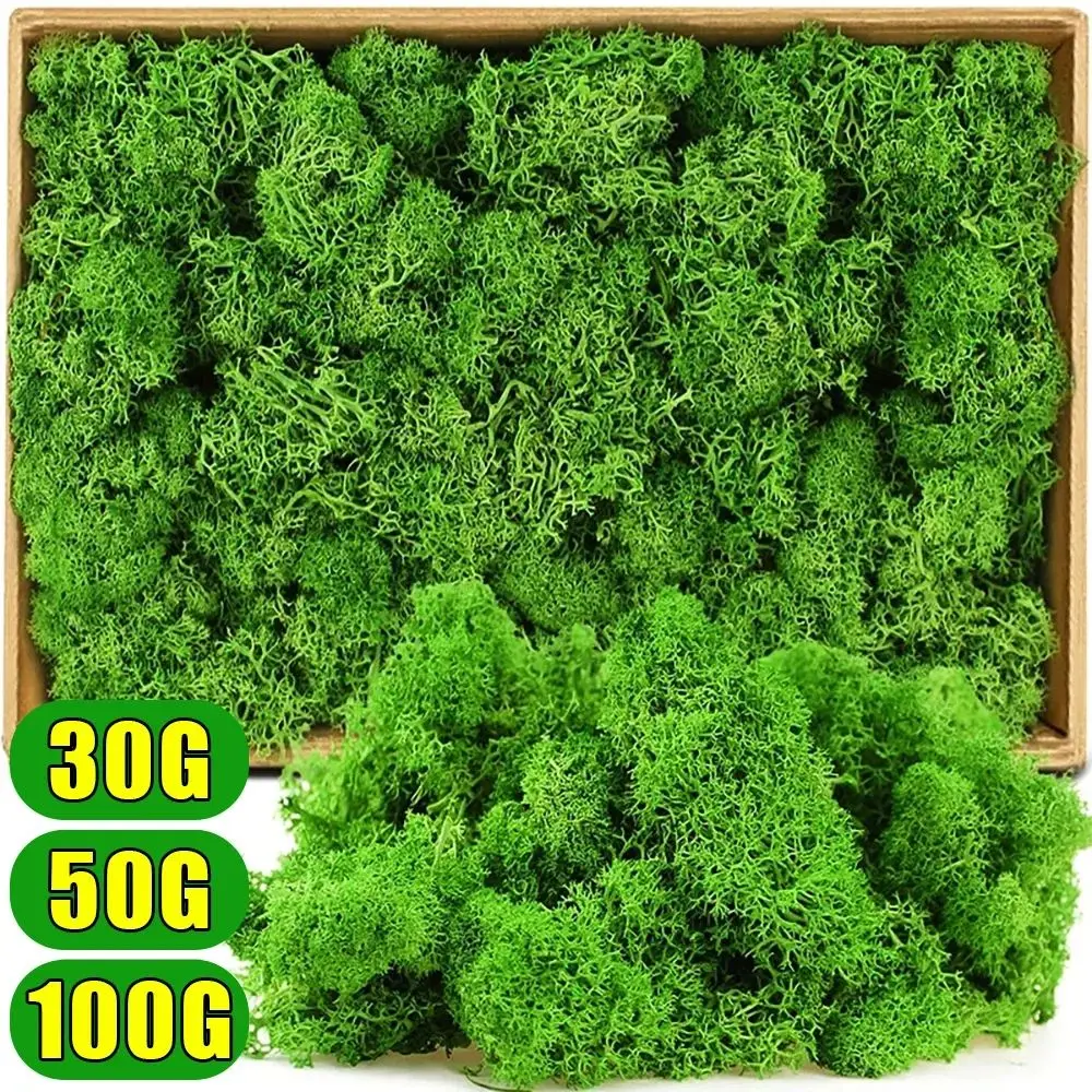 1 مجموعة للنباتات بوعاء محاكاة الطحلب الحلي المشهد الصغير حديقة المنزل الديكورات الطحلب الأخضر Crafts بها بنفسك الحرف زهرة الطحلب العشب وهمية