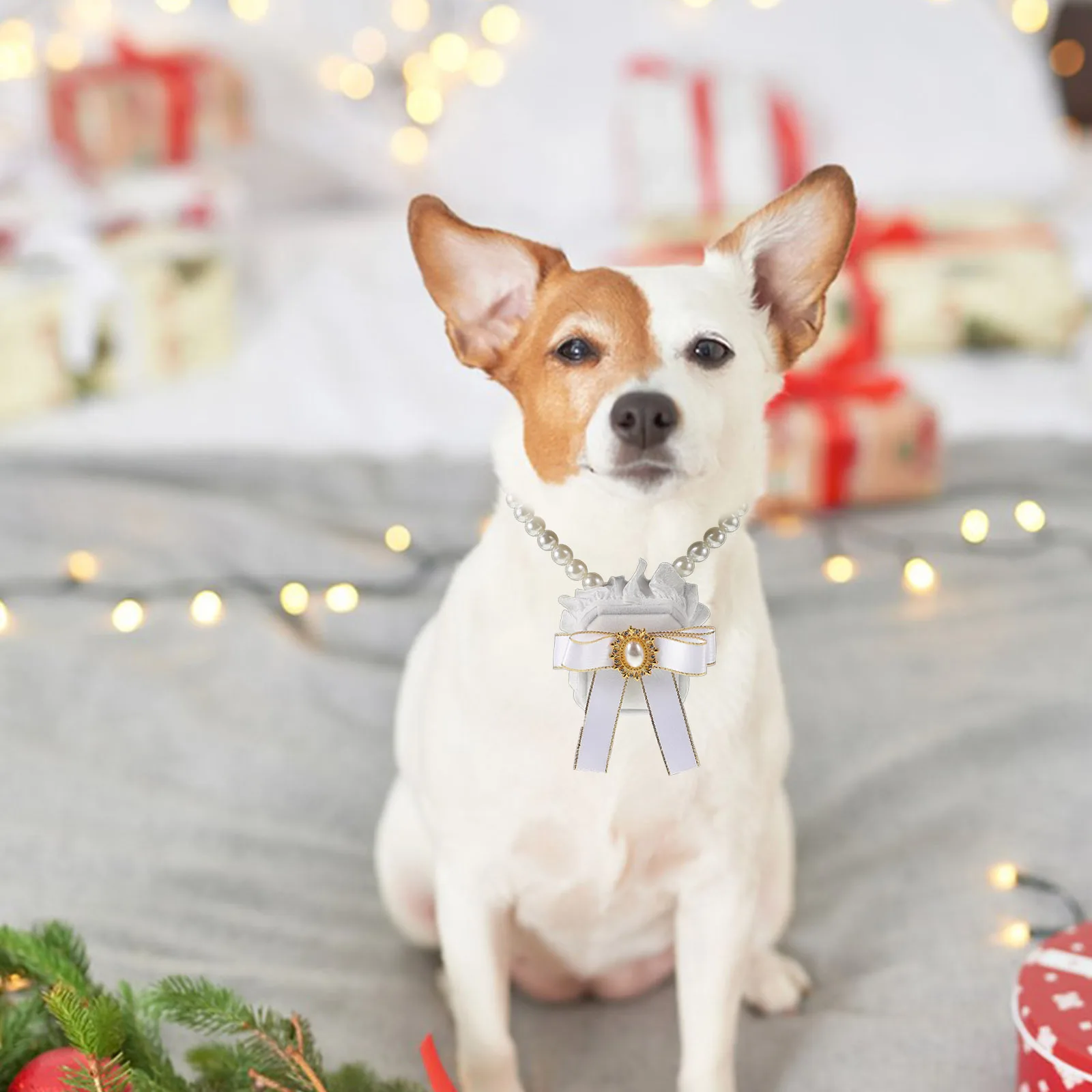 

Dog Proposal For Pet Proposal Wedding Organizer Holder Small Engagement Bride Ring Boxes For Wedding Ring Box Box