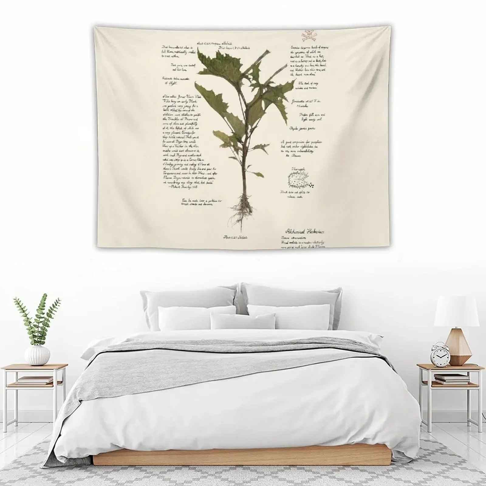 Devil's Snare - Datura stramonium Tapestry Decoration Wall Things To The Room Cute Room Things Tapestry