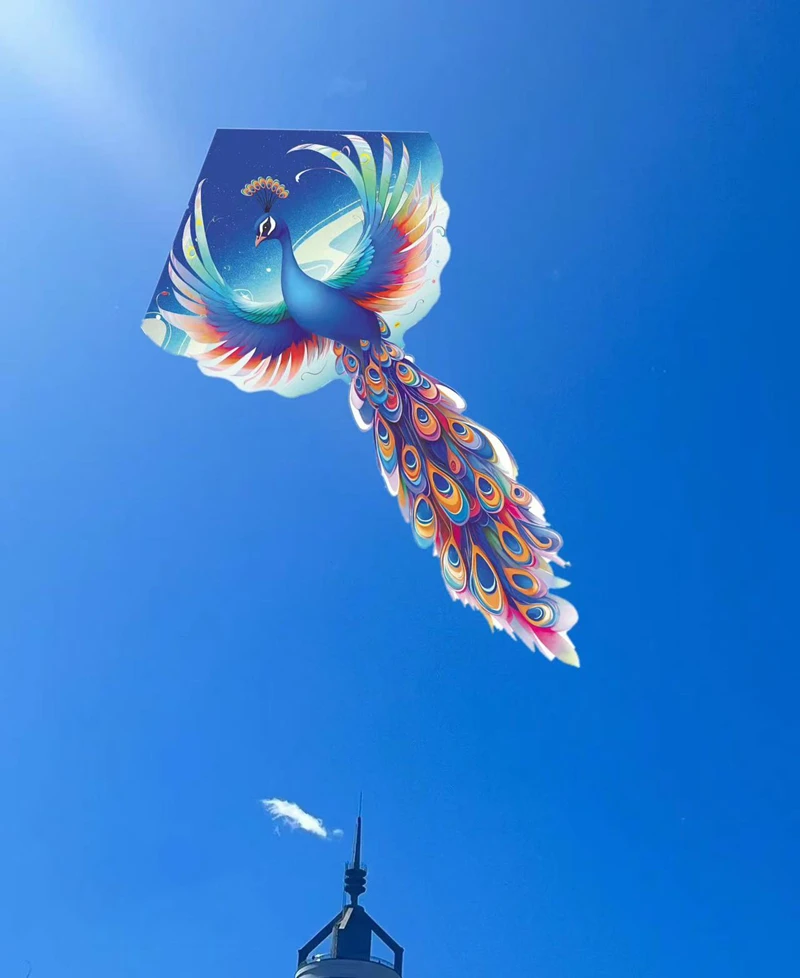 Cerf-volant paon pour enfants, cerf-volant volant professionnel, jeu de plein air, assez de rebond d'air, jouets de direction pour garçon, livraison gratuite