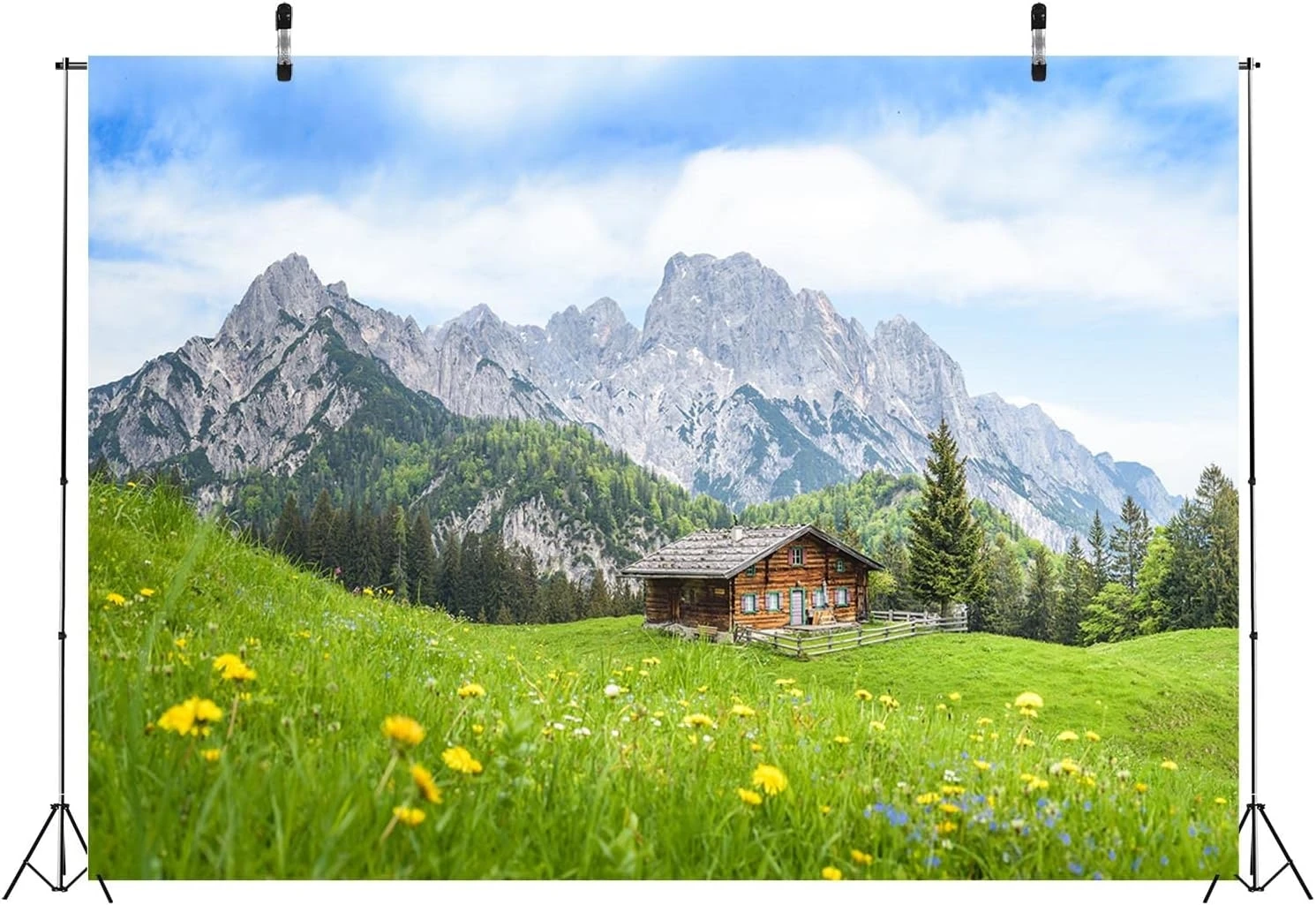 유럽 ​​오스트리아 알프스 산 그래피 녹색 초원 오두막 숲 꽃 배경 경치 좋은 사진 스튜디오 배경