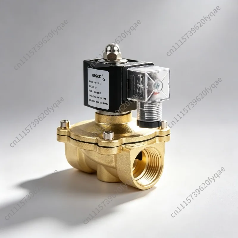 Plastic-Sealed Diamond Coil Solenoid Valve, 2W Series Brass Normally Closed Water Gas Valve
