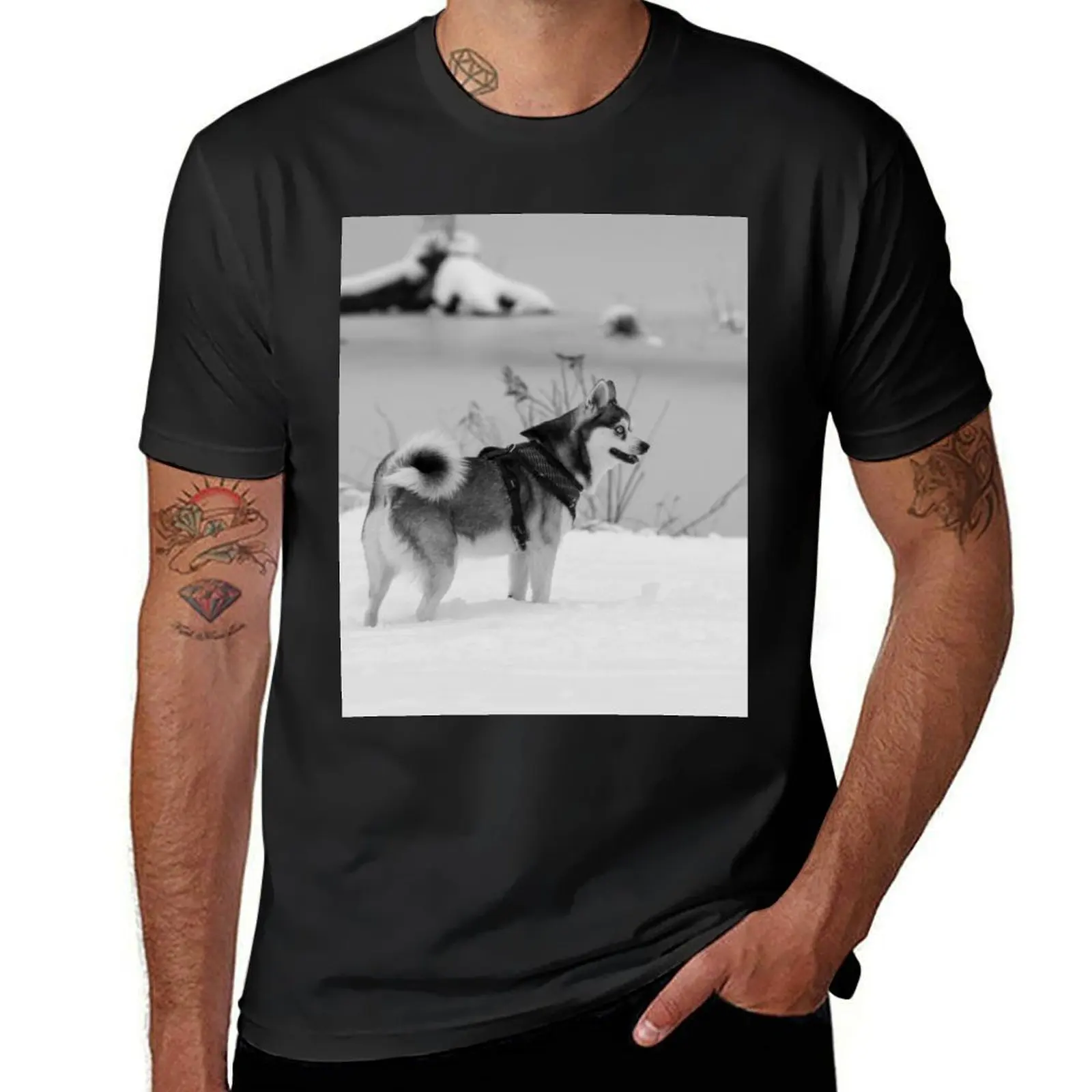 Cute klee kai puppy in the snow - black & white T-Shirt anime clothes summer top Aesthetic clothing plain white t shirts men