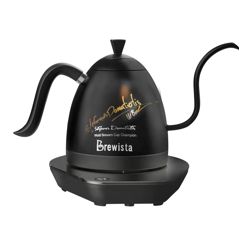 Brewitsa-Stainless Steel Electric Coffee Kettle, Champion Signature, Gooseneck, 600ml