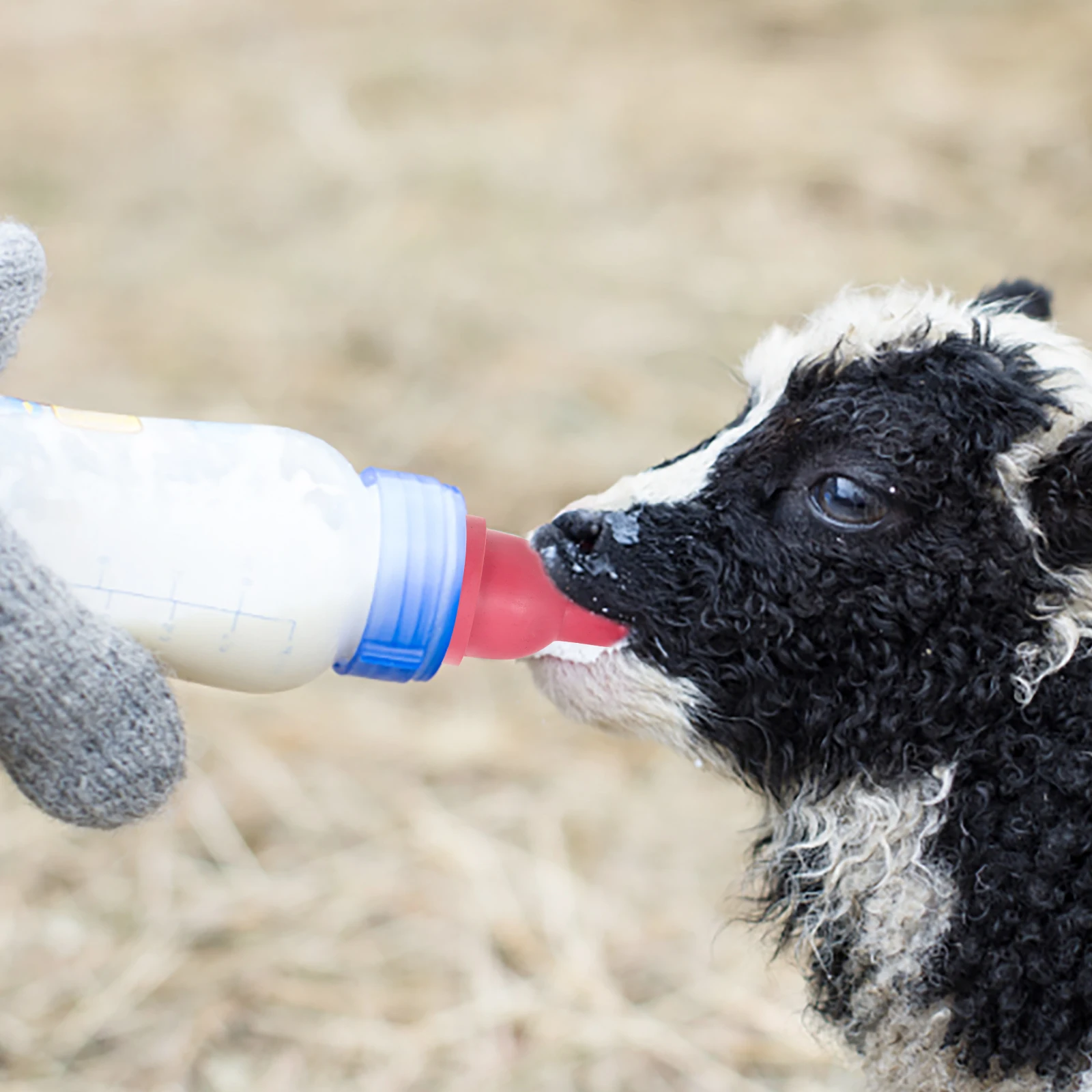 

Milk Bottle Pacifier for Sheep Pigs Calves Livestock Rubber Nipples Farm Supplies Animal Nipples Baby Replacement