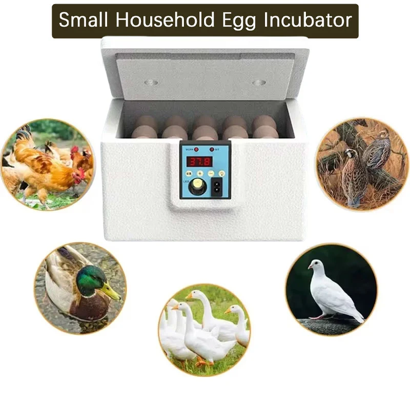 

Fully Automatic egg Incubator Intelligent Bionic Chicken Duck Goose Waterbed and Incubator All-in-One Machine USB Thermostatic
