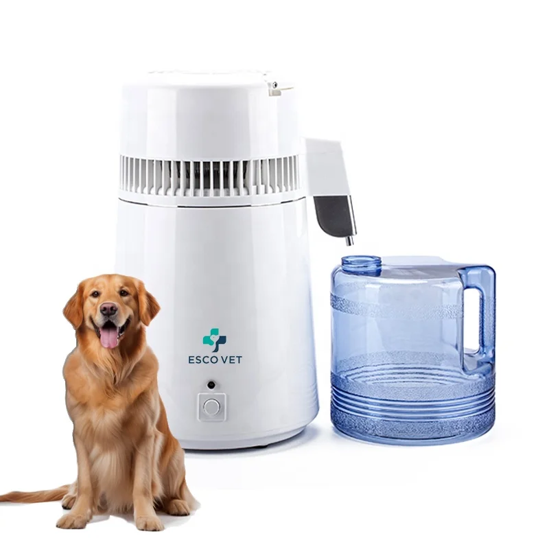 Veterinary Portable Steamed Water Distiller Destilling Machine Distillation for Sale / Dental fast shipping