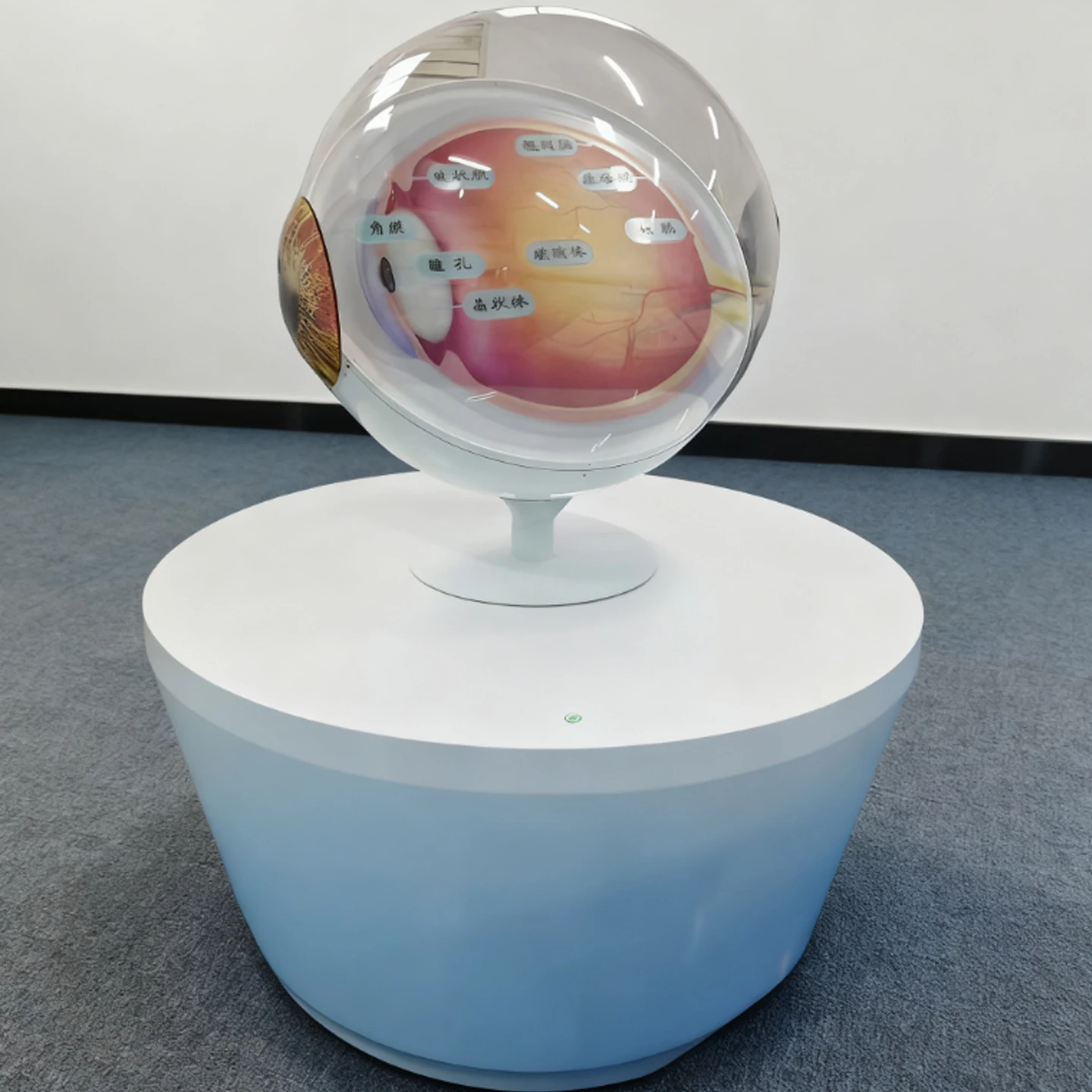 مضيئة مقلة العين هيكل مقلة العين عرض الأعضاء البشرية العرض العلوم ألعاب العلوم الألعاب التفاعلية #3