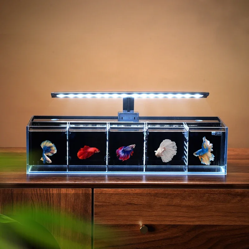 Yee Ultra White Glass Fish Tank Betta Aquarium Isolation Small Fish Tank Multi Grid Combination Filter Change-free Water