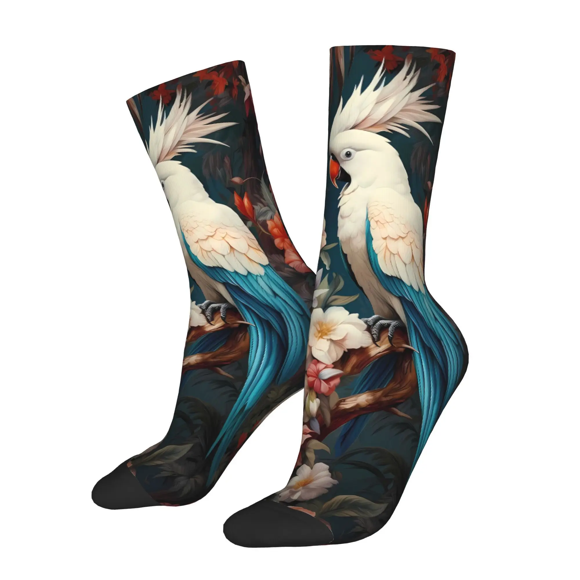 

Cute Phoenix Headed Parrot Sock Printed Man Polyester Fashion