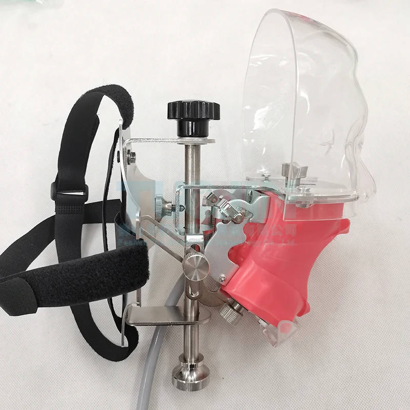 Dental Simulator Phantom Head Replace Teeth Model Can Installed On The Pillow Of The Dental Chair For Dentist Teaching Practice