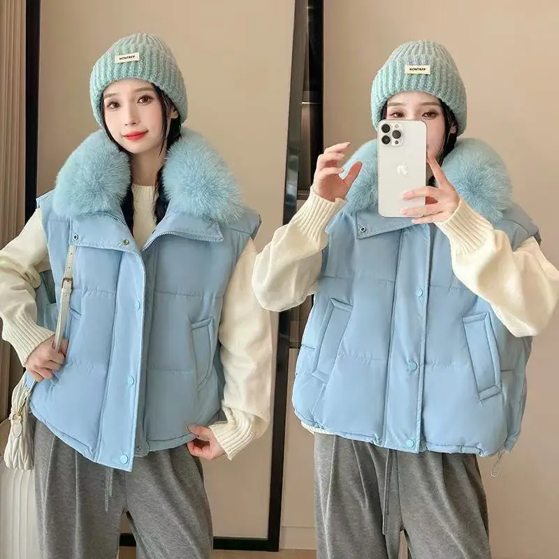 

Winter Warm Cropped Vest Jackets For 2025 New Women Fashion Sleeveless Stand Collar Zip Up Puffer Waistcoat Street Style Outwear