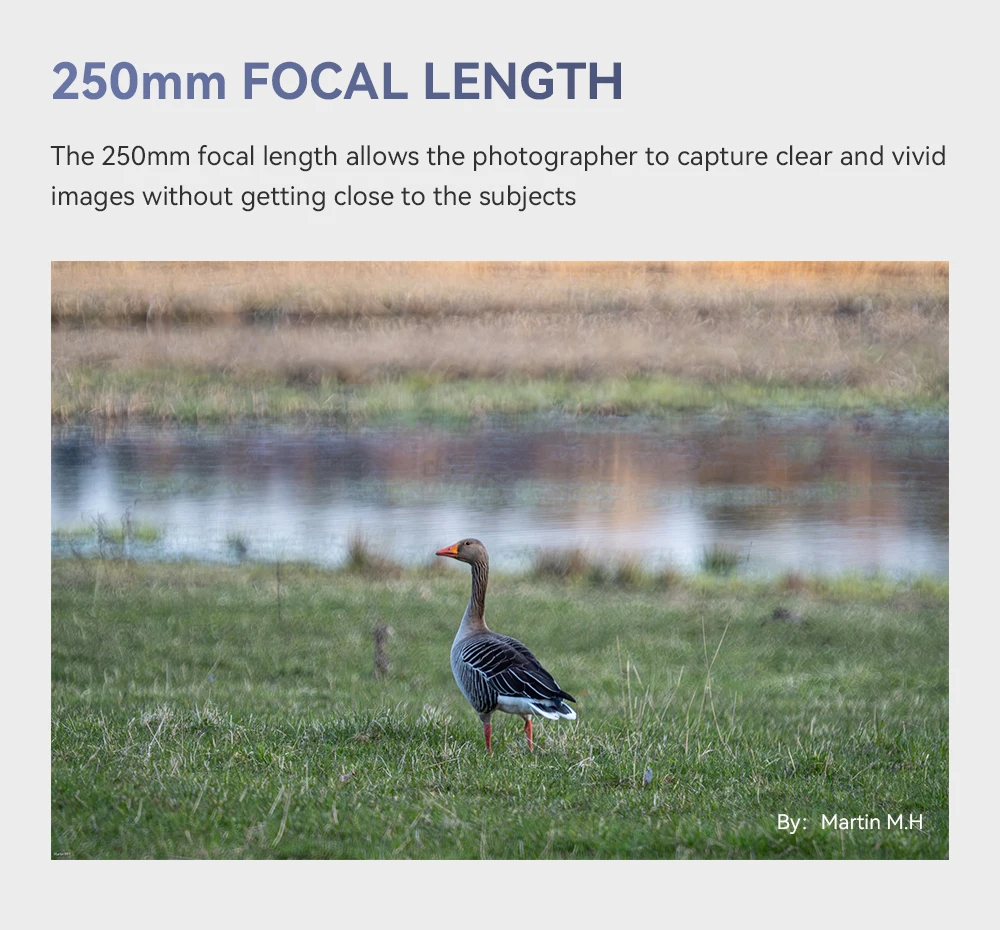 TTArtisan 250mm F5.6 Vollformat-Reflexobjektiv mit Donut-Bokeh, manuelles Teleobjektiv mit MF-Funktion für M42-Mount, kompatibel mit Sony E, Nikon Z, Canon R, EF L – Detail 10