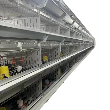 Chicken Cage Poultry Cage Large Intelligent Automatic Feeding Automatic Egg Collection with Egg Collection System