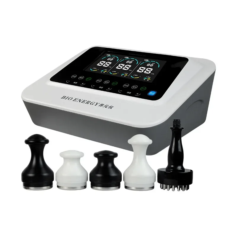 Vitality Meter: A Comprehensive Review and Guide for Health Enthusiasts