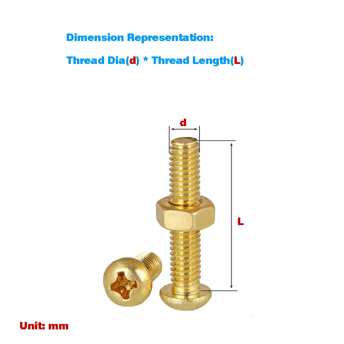 

Brass Round Head Phillips Screw With Hexagonal Nut M2-M4