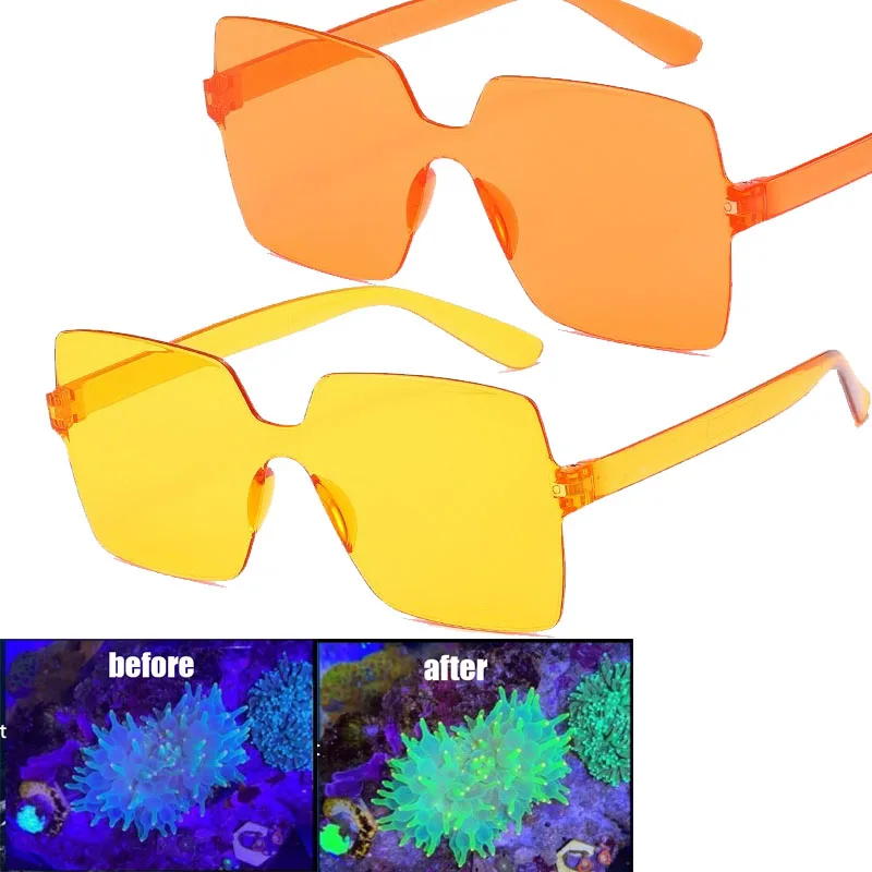 Coral Observation G…