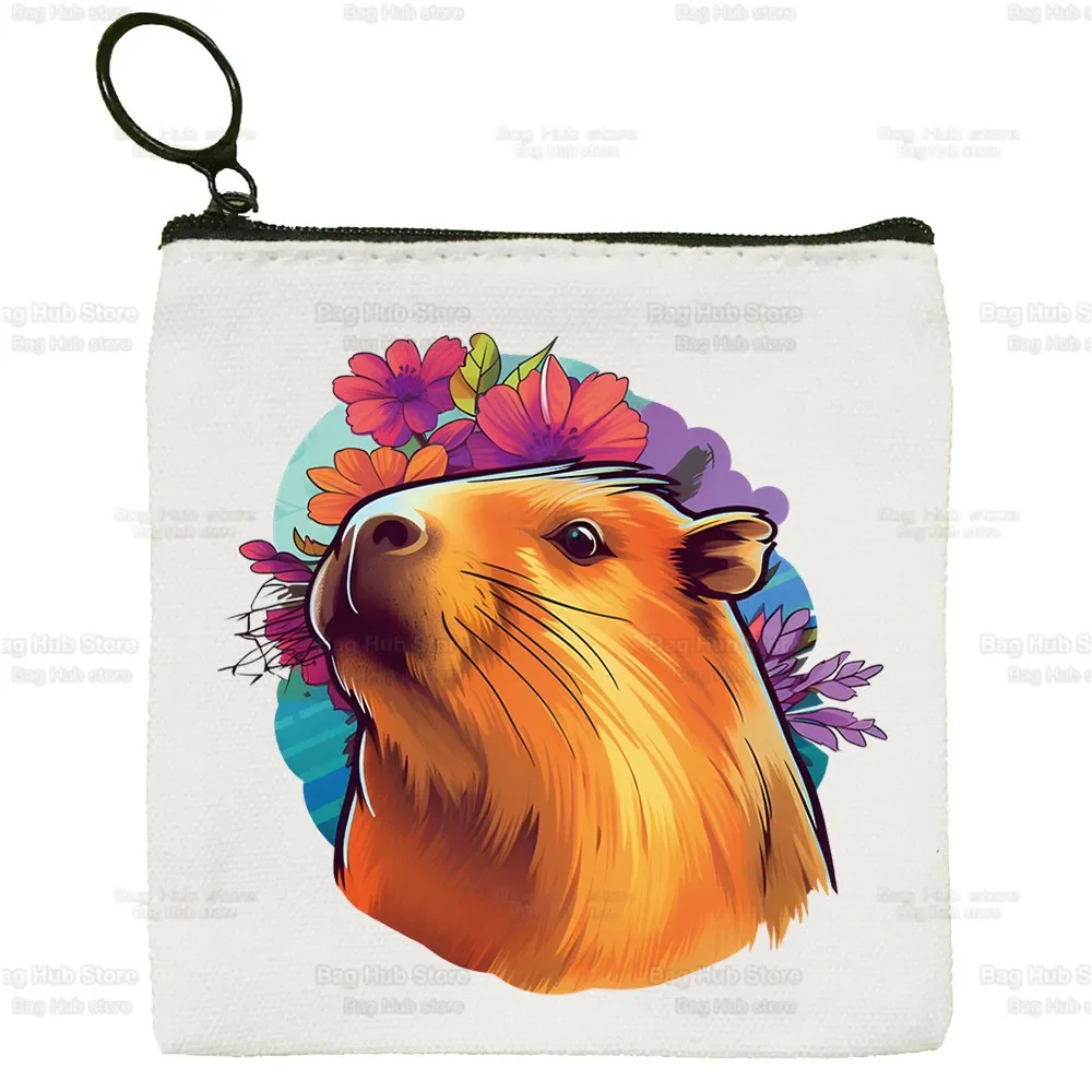 Capybara กระเป๋าเก็บกระเป๋าใส่เหรียญสี่เหลี่ยมลายการ์ตูนไม่ต้องกังวลเป็นกระเป๋าใส่บัตรขนาดเล็กมีซิปเก็บกุญแจ