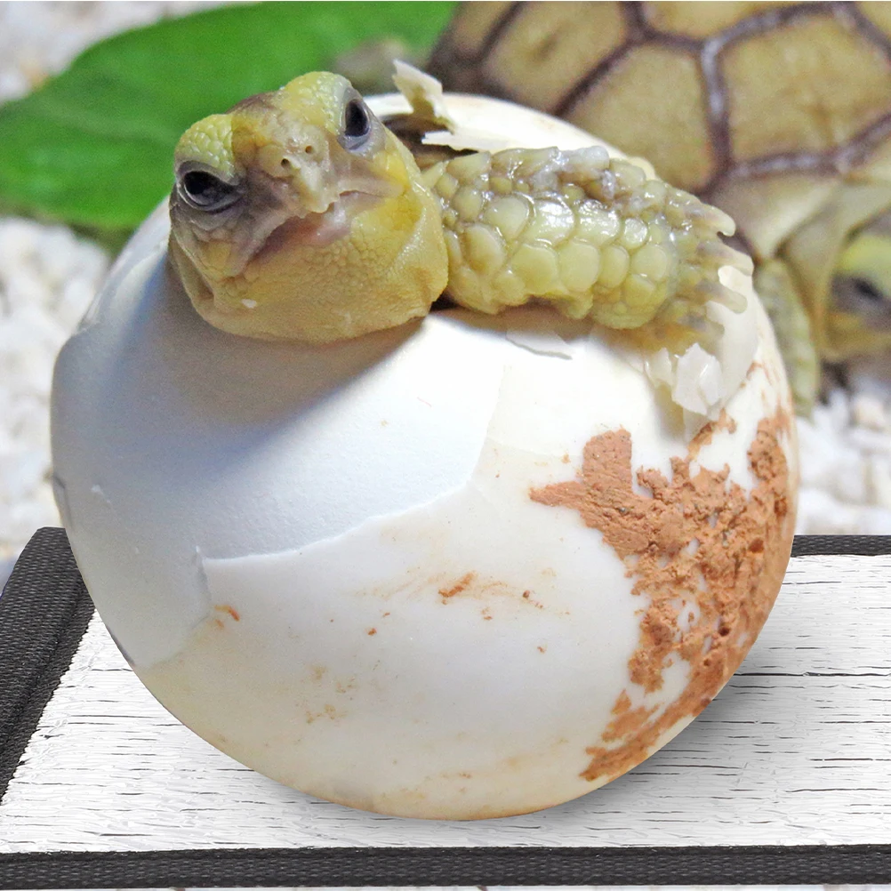 

Reptile Heat Pad Insulation Heating Mat Reflective Film Warm Breeding Box Gecko Turtle Snake Saving