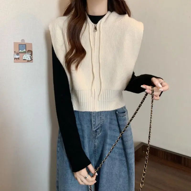 Hdspq Lazy Style Hooded Knitted Vest Women Casual All-Match Gray Zip Up Sweater Tops Woman 2023 Fashion Simple Sleeveless Tanks