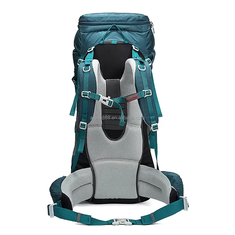 for Unisex Custom Large Capacity New Fashion Vintage Style Hiking Backpack Waterproof External Frame Polyester with Logo