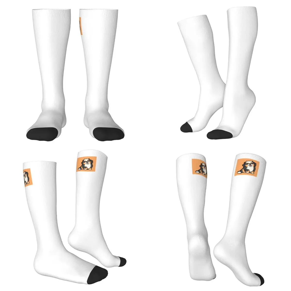 

Всесезонные милые носки для щенков бернского зенненхунда, спортивные носки в стиле Харадзюку, мягкие модные чулки для мужчин и женщин