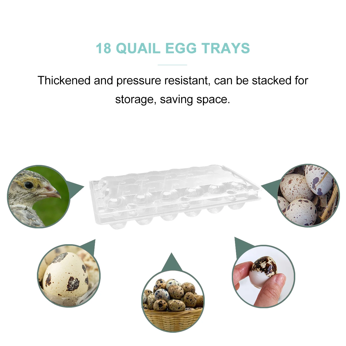 

50pcs Quail Egg Carton Large Capacity Storage Box Transparent PVC Durable 18 Grids Per Box Stable Eggs Home Use