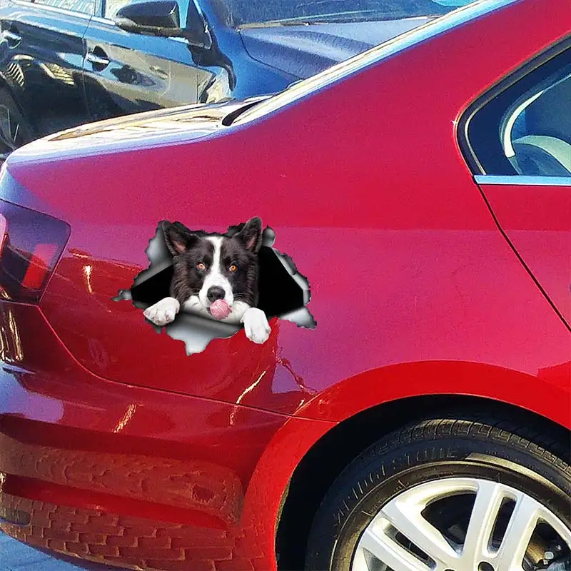 Border Collie Pet Dog Car Sticker Waterproof Vinyl Decal on Bumper Rear Window Laptop Self-adhesive Decal Car Accessories SH125