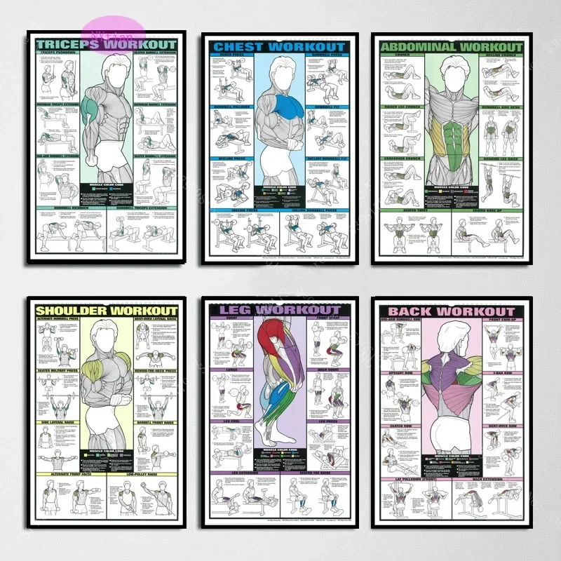 Nt Muscle Bodybuild… - image