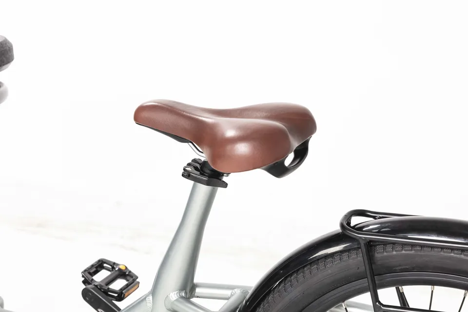 20'' 26" Tire Factory Price Electric Bicycle 2 Wheel Electric Cargo Bike Electric Bicycle with Family Kids image 4