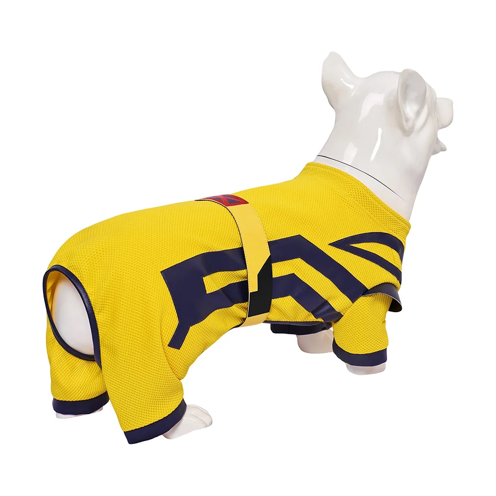 Costume de Cosplay pour Petits et Grands Chiens, Tenue d'Halloween