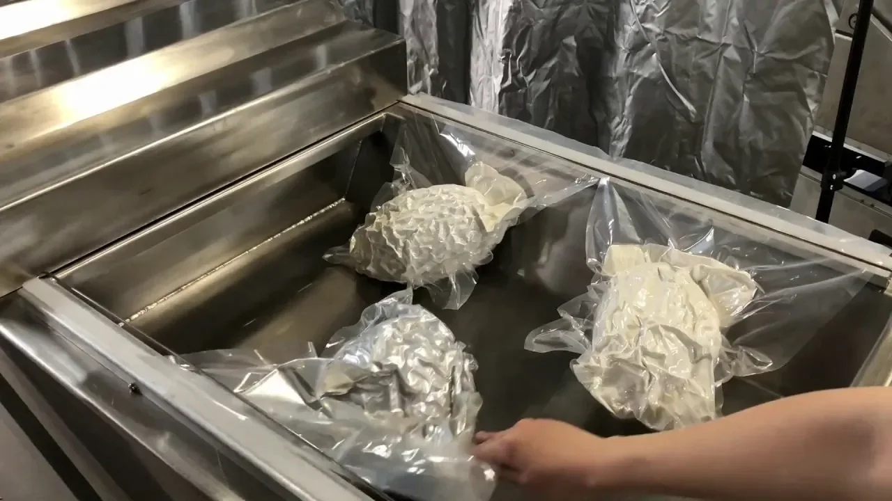 Automatische dubbele kamer vacuümverpakkingsmachine Durian