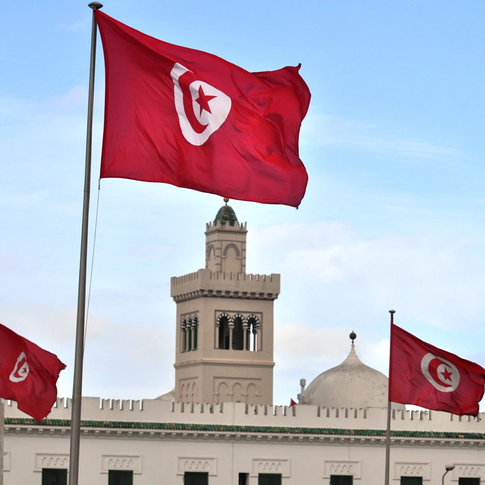 JimonFlag 60X90CM 90X150cm TUN TN Tunisia Tunisie Flag Polyester A Red Star And Crescent Tunisian National Flags For Decoration