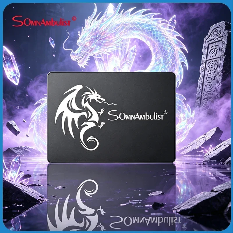 

SomnAmbulist 2.5 Inch SATA3 SSD 64GB 120GB 128GB 240GB 256GB 480GB 512GB Internal Drive For Laptop Desktop PC
