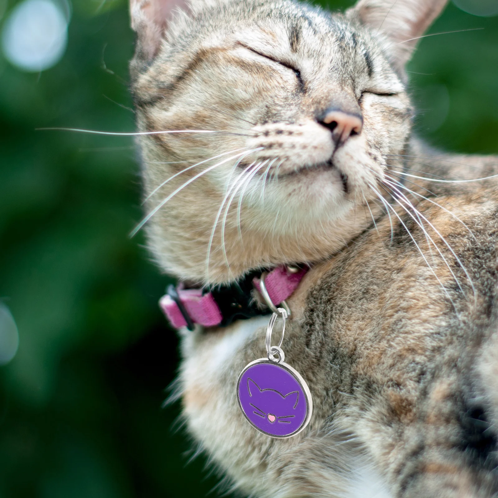 

12Pcs Stainless Steel Pet Id Tags Engraved Collar Plate Anti Lost Cute Round Pendants Cat Tag Pet Id Tags