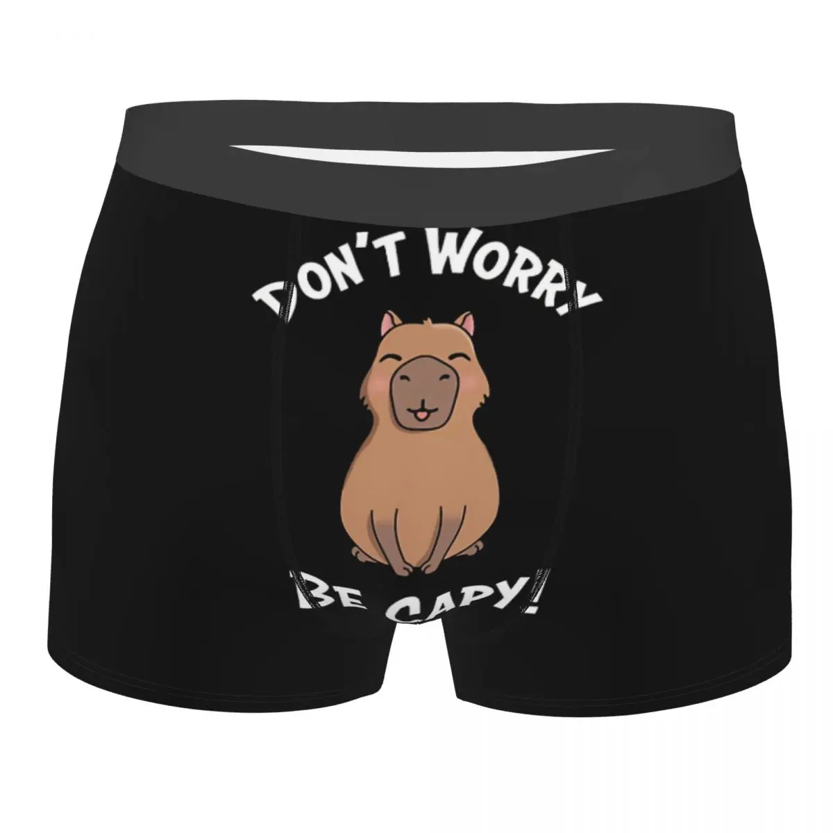 Capy Man's Boxer Briefs Capybara Highly Breathable Underwear Top Quality Print Shorts Birthday Gifts