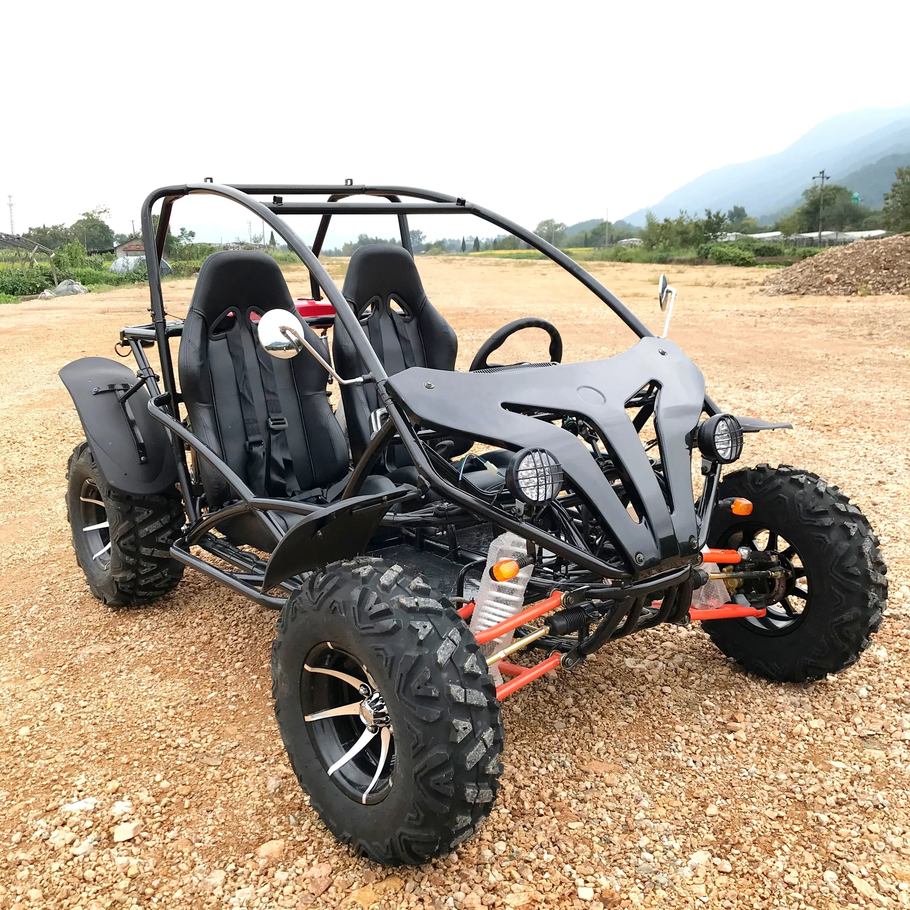 

LNA get ready 200cc petrol off-road go kart buggy