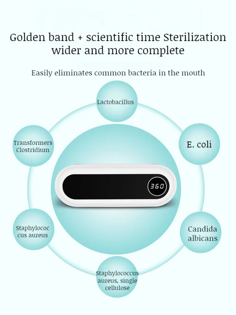 Household nopunch wallmounted toothbrush sanitizer UV disinfectant toothbrush holder sanitizer