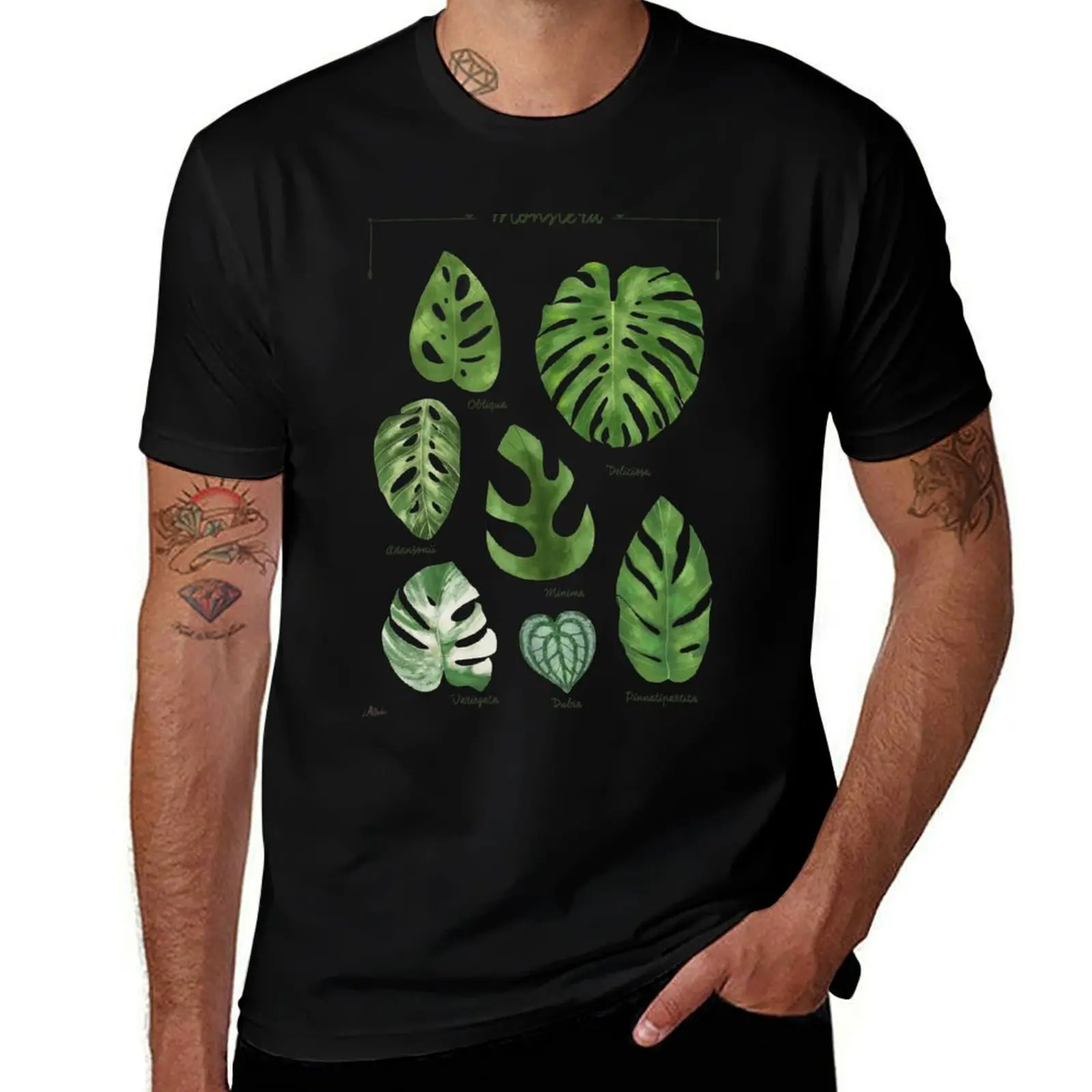 Monstera varieties illustration foliage leaf species T-Shirt Art Pattern Printed Casual Top T-Shirt
