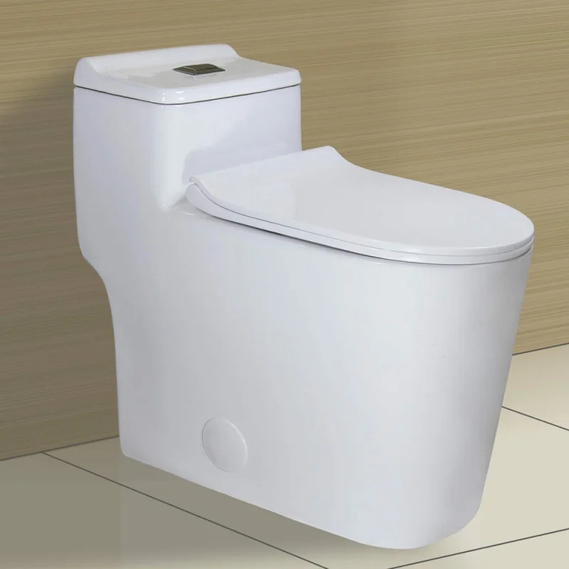 Elongated Dual Flush One Piece Toilet Low Profile 17.25